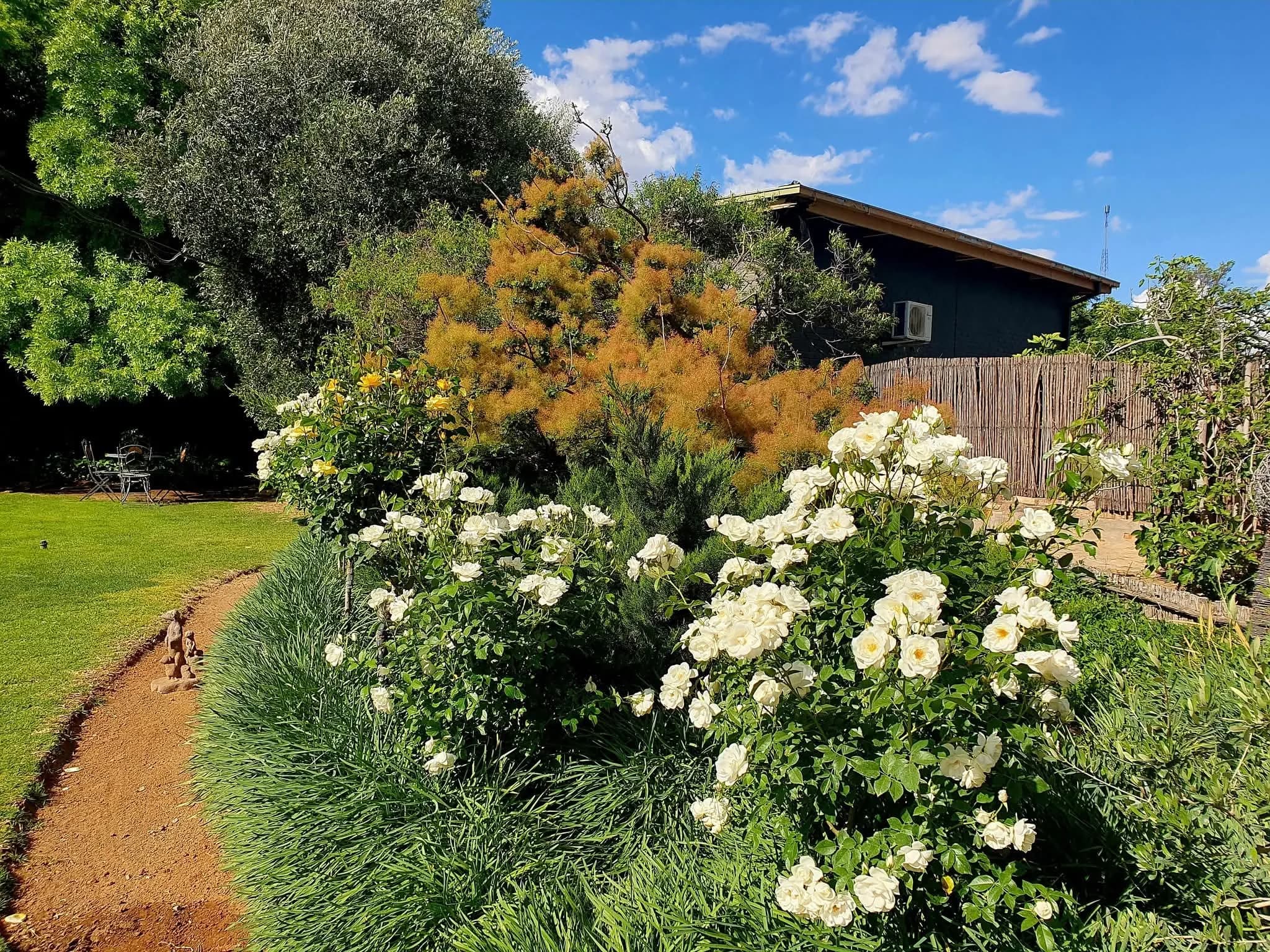 A deep flowerbed of yellow and white blooms in front of a unit
